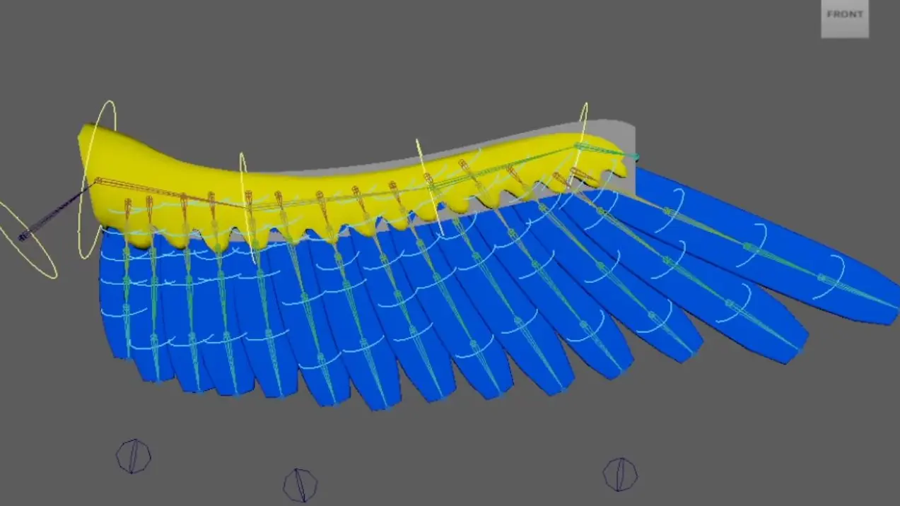 Rigging d'une aile d'oiseau - advanced Rigging
