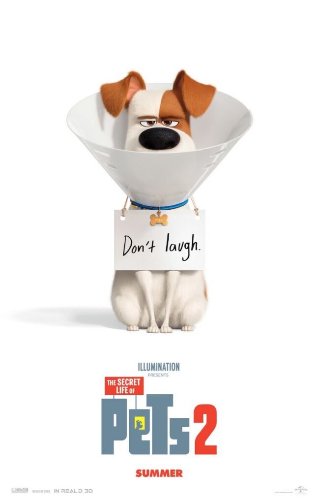 Affiche du film Comme des bêtes 2 (Illumination)