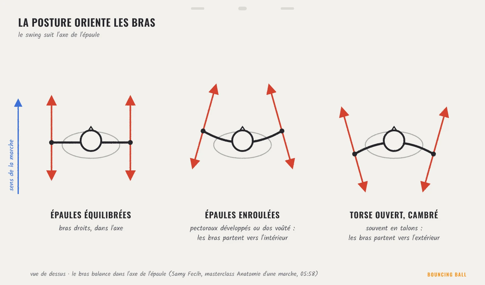 Vue de dessus : le balancement des bras suit l'axe des épaules, droit pour une posture équilibrée, vers l'intérieur pour des épaules enroulées, vers l'extérieur pour un torse ouvert