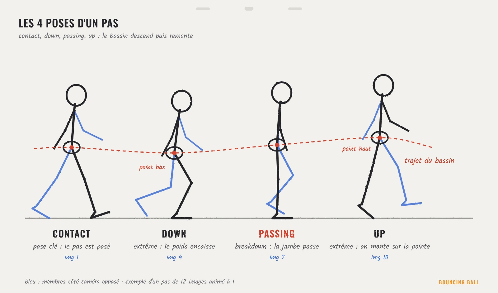 Schéma du cycle de marche en animation : poses contact, down, passing et up, avec le trajet du bassin qui descend puis remonte