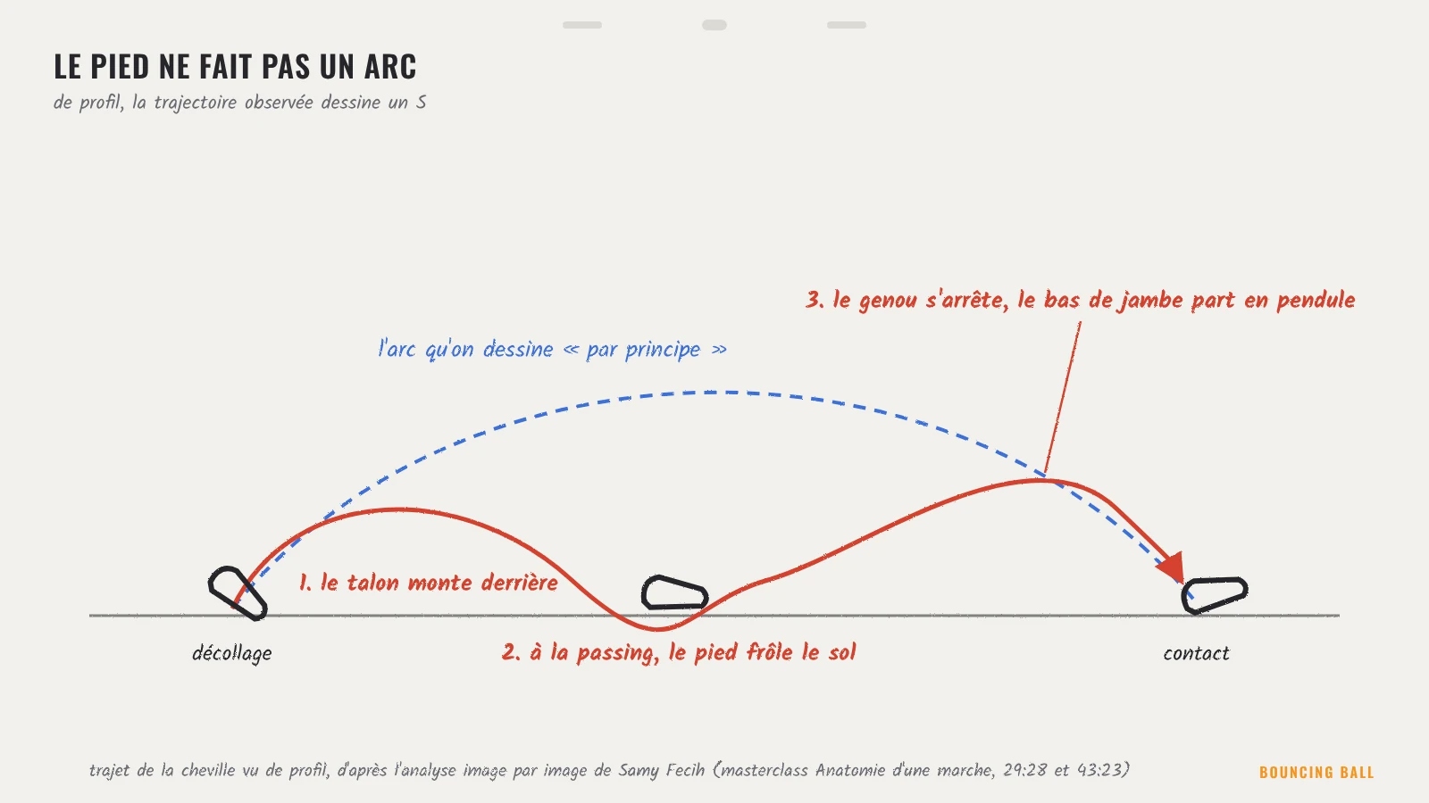 Schéma de la trajectoire du pied de profil pendant un pas : arc théorique en pointillés bleus et trajectoire observée en S en rouge